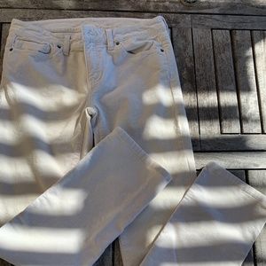Patagonia organic cotton pants.